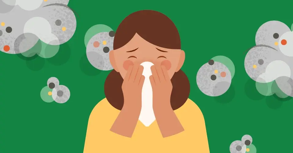 Do You Have a Dust Allergy? Causes, Symptoms & More